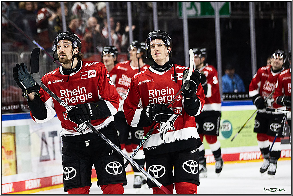 PENNY DEL; Koelner Haie- Straubing Tigers; Koeln, 15.12.2023